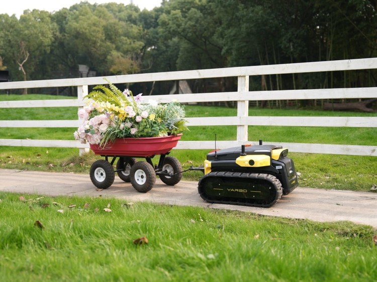 DSC01961 Duży.jpeg