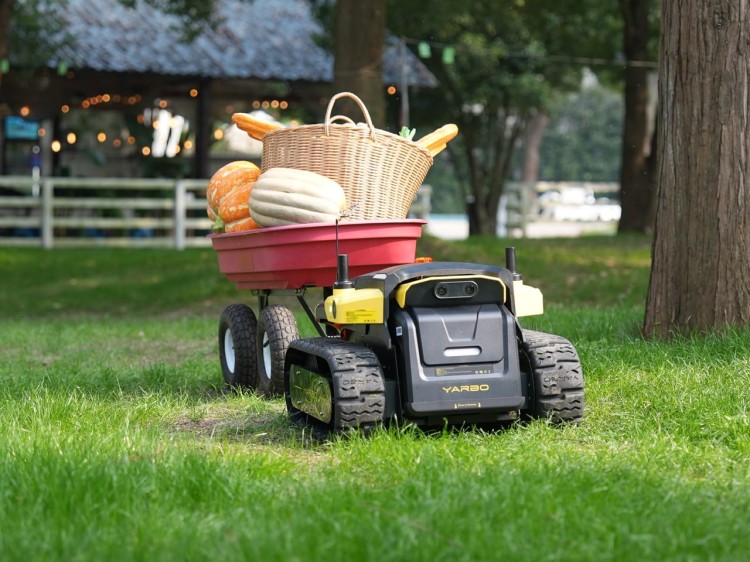 DSC02006 Duży.jpeg