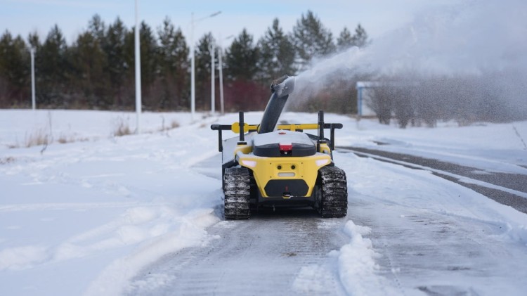 DSC09082 Duży.jpeg