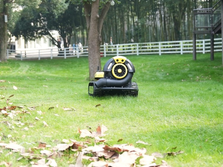 DSC01277 Duży.jpeg