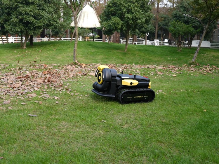 DSC01340 Duży.jpeg