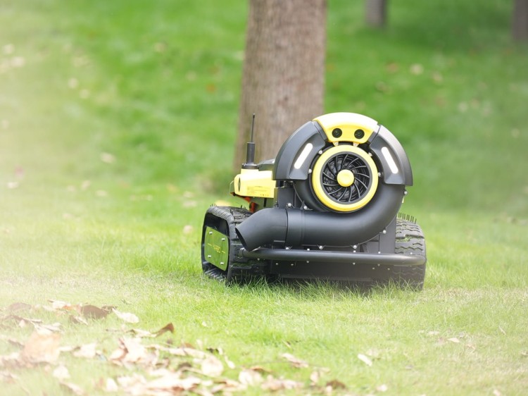 DSC01417 Duży.jpeg